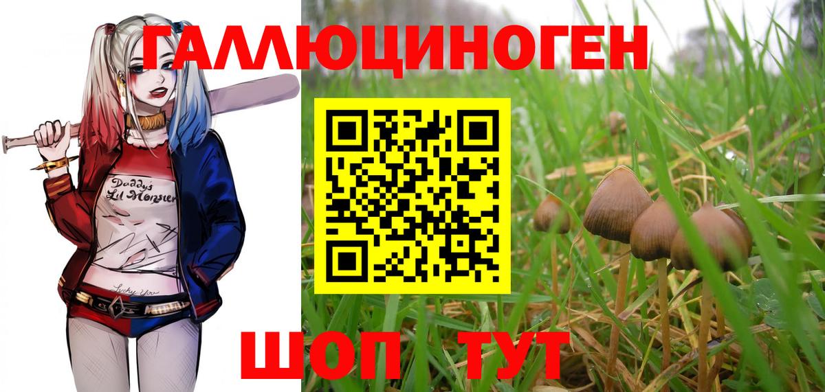 Галлюциногенные грибы мицелий  Вход с VPN  Большой Камень 
