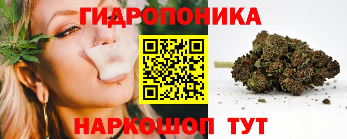 Канабис White Widow Большой Камень